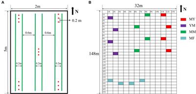 Effects of aftercrop tomato and maize on the soil microenvironment and microbial diversity in a long-term cotton continuous cropping field